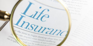 searching for life insurance